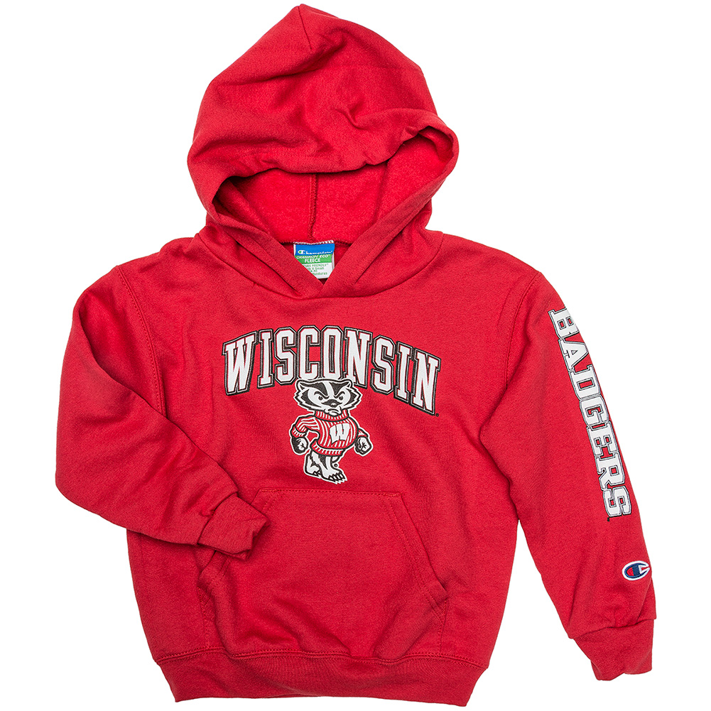 university of wisconsin champion sweatshirt